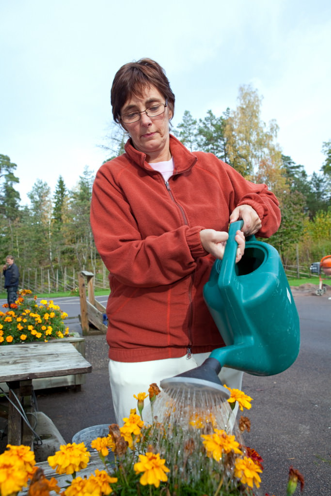 Trädgårdsarbete på anstalten Kolmården
