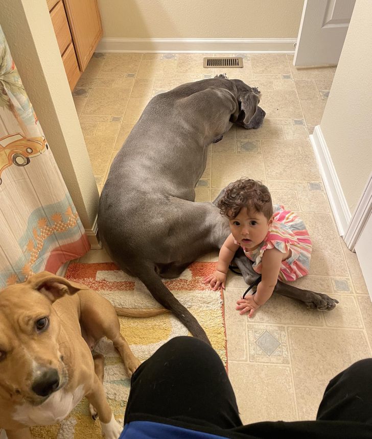 “Bara den vanliga badrumspausen!”