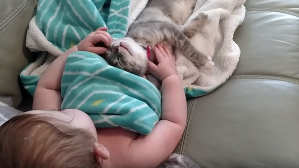 Bebisen ligger och sover med katten på magen – se bara var som händer när de vaknar