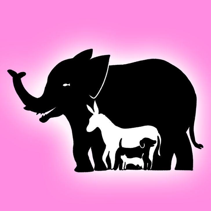 Det finns 9 djur i den här bilden. Kan du hitta alla? Endast 1 av 10 klarar detta.