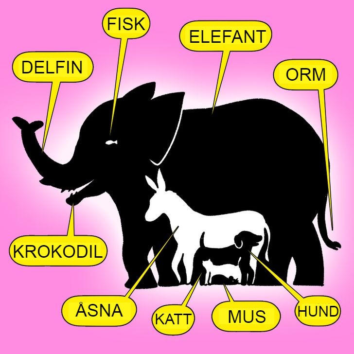 Det finns 9 djur i den här bilden. Kan du hitta alla? Svaret.