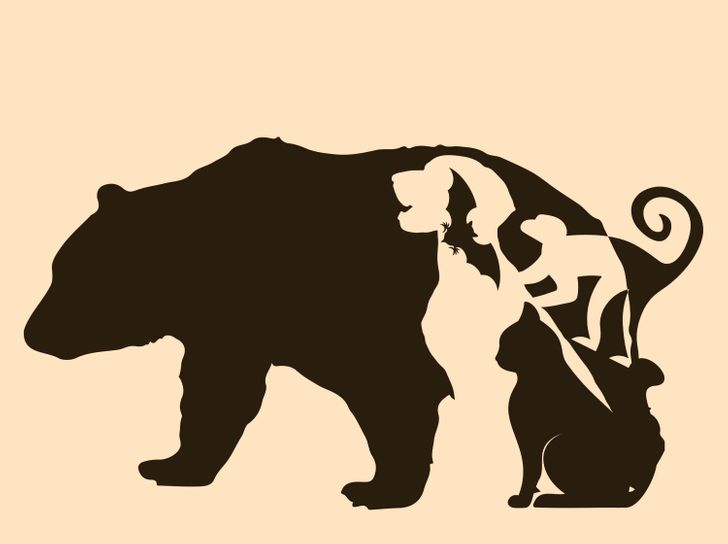 Det finns fem olika djur i den här bilden. Lyckas du hitta alla inom 15 sekunder?