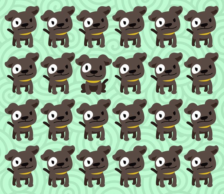 En av dessa valpar är annorlunda. Kan du hitta den?