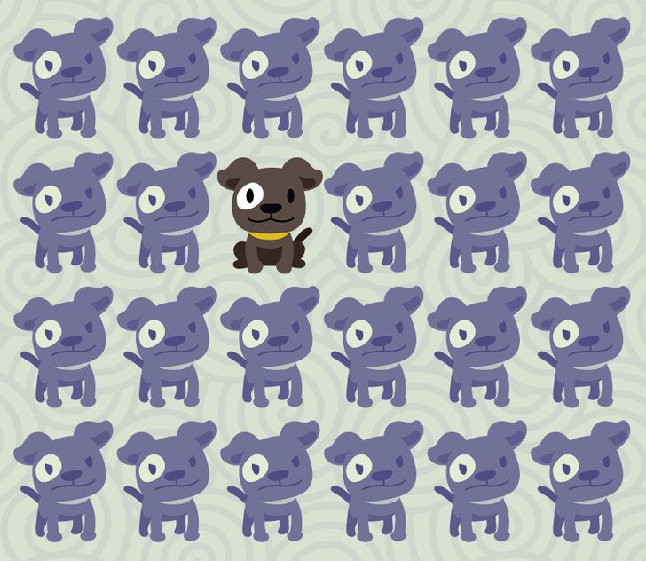 En av dessa valpar är annorlunda. Kan du hitta den? Svaret!