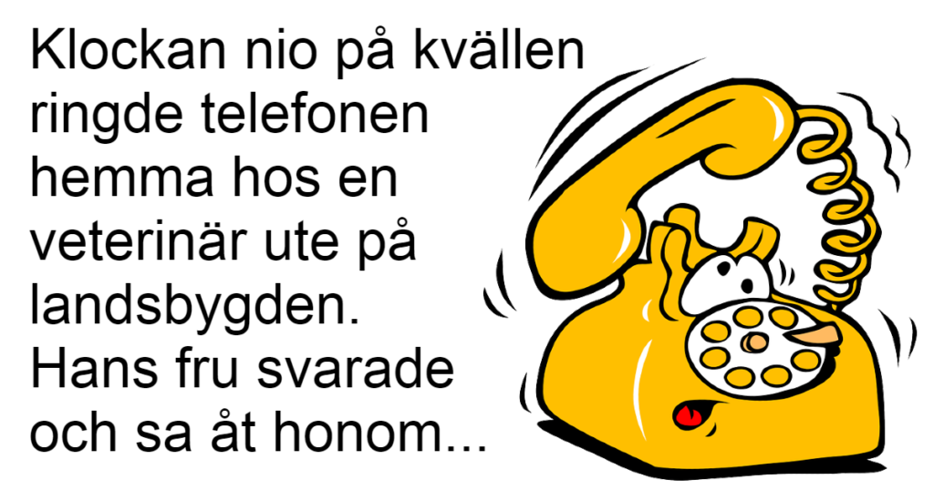 En dam kontaktar veterinären flera gånger - det här fick oss att skratta så vi gråter