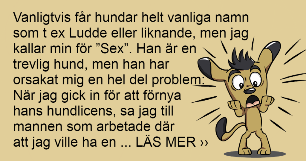 Hundens namn skapade otroliga problem för ägaren - du kan aldrig gissa vad som hände