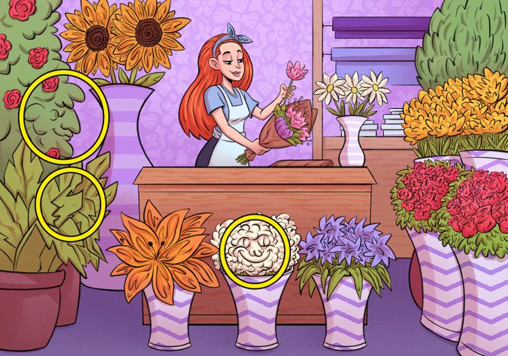 Kan du hitta 3 gömda ansikten i den här blomsteraffären? Svaret!