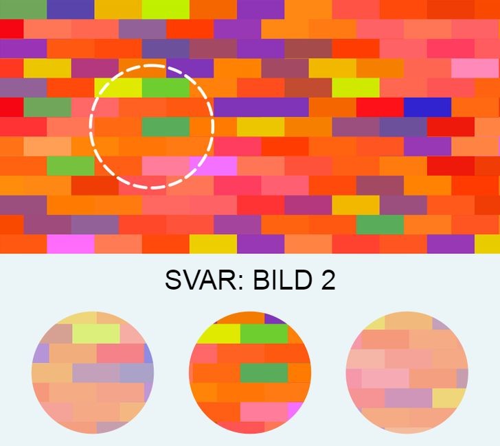 Bildgåta: Kan du hitta den saknade biten inom 20 sekunder?