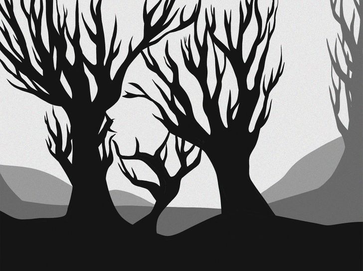 Kan du hitta det dolda ansiktet i den här bilden inom 15 sekunder?