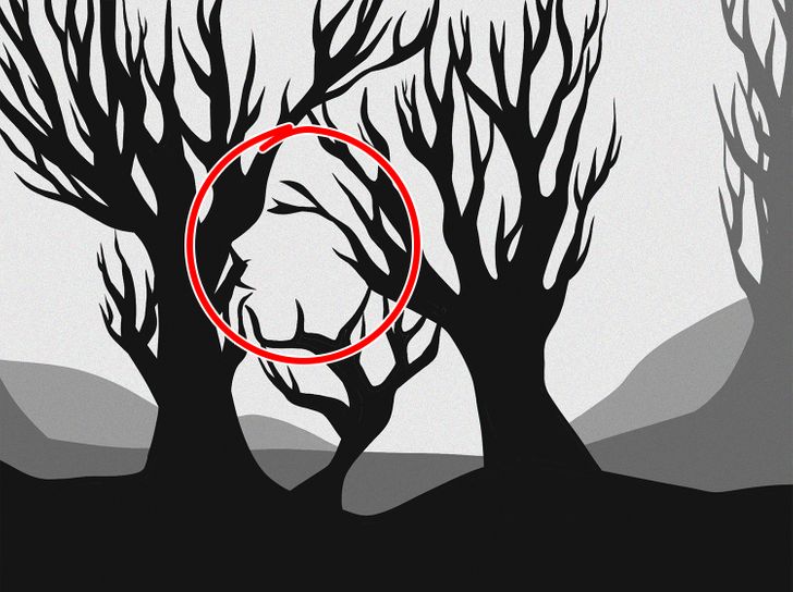 Kan du hitta det dolda ansiktet i den här bilden inom 15 sekunder? Svaret!