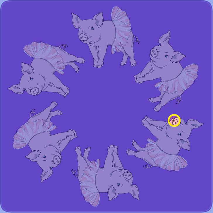 Kan du hitta grisen som skiljer sig från de andra inom 10 sekunder? Svaret!