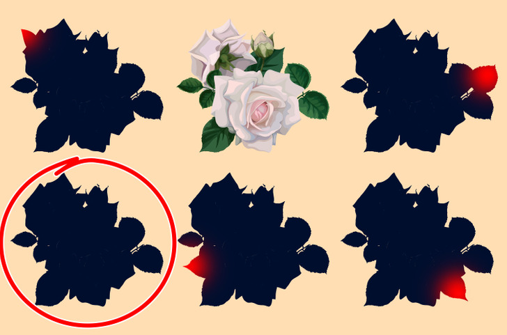 Bildgåta: Kan du hitta rätt skugga av blommorna inom 15 sekunder? Svaret!