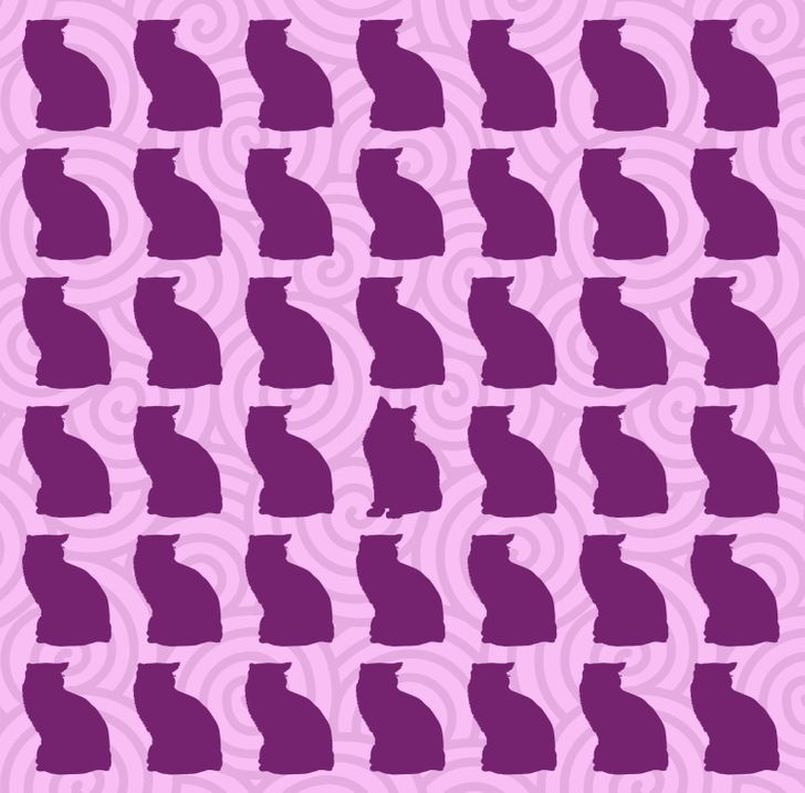 Kan du hitta den udda katten inom 15 sekunder?