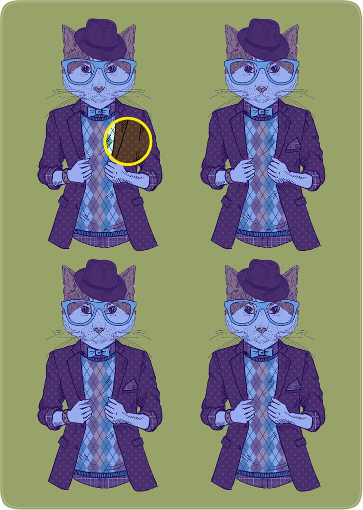 Kan du hitta katten som skiljer sig från de andra inom 7 sekunder? Svaret!