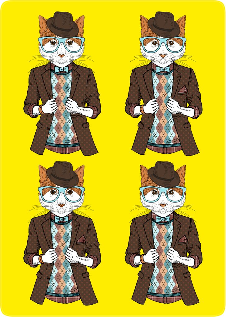 Kan du hitta katten som skiljer sig från de andra inom 7 sekunder?