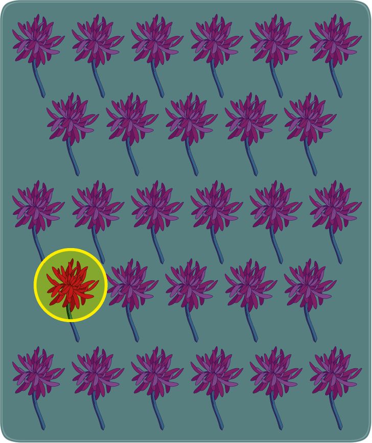 Kluring: Kan du se vilken blomma som har en annorlunda färg. Endast 1 av 10 fixar detta?