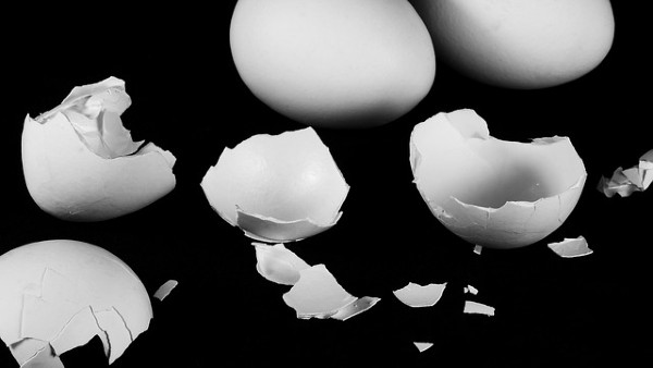 Läs det här så kommer du nog aldrig att kasta äggskal i soporna igen