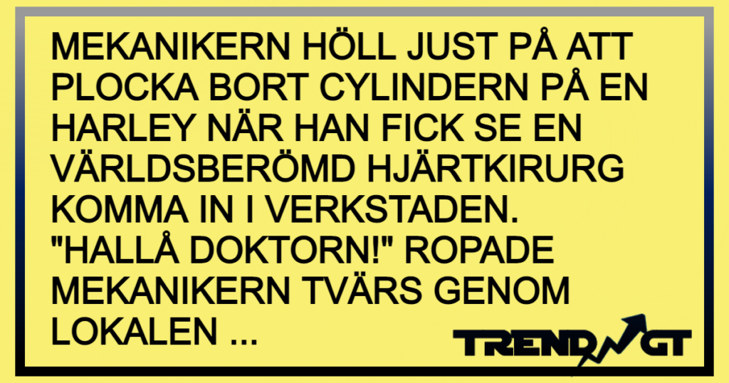 Mekanikern och kirurgen