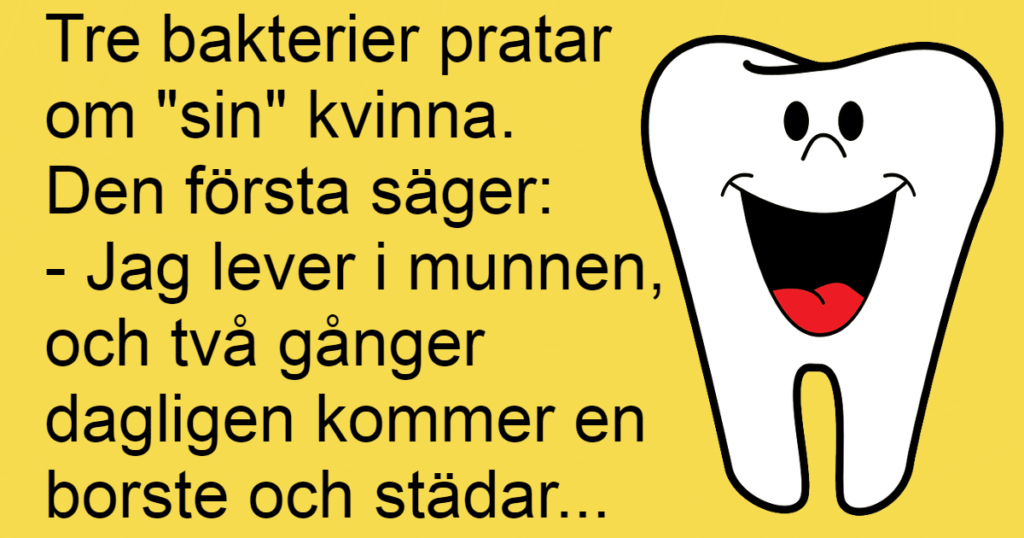 Tre bakterier sitter och samtalar