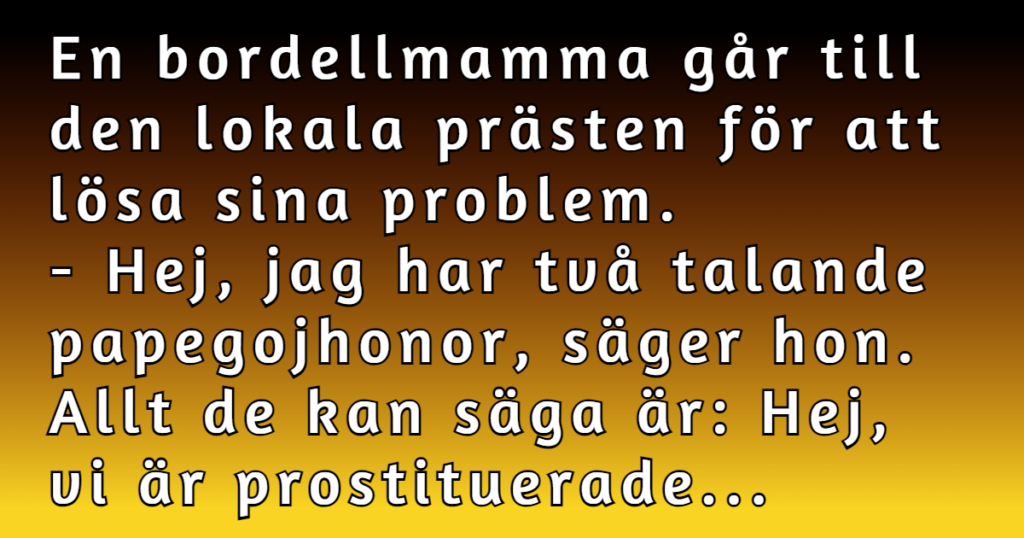 Två papegojhonor och två papegojhanar i samma bur - hur bra kan det gå?
