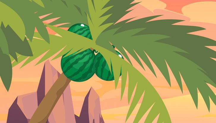 Kan du se vad som är fel i den här bilden? Bara 1 av 10 klarar detta! Rätt svar!