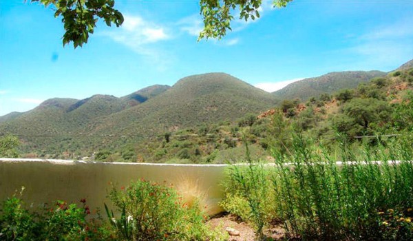 Det finns någonting med den här bilden som lurar din hjärna fullständigt. Ser du vad det är?