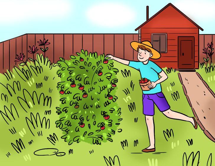 Utmaning: Kan du hitta felet i bilden inom 15 sekunder?