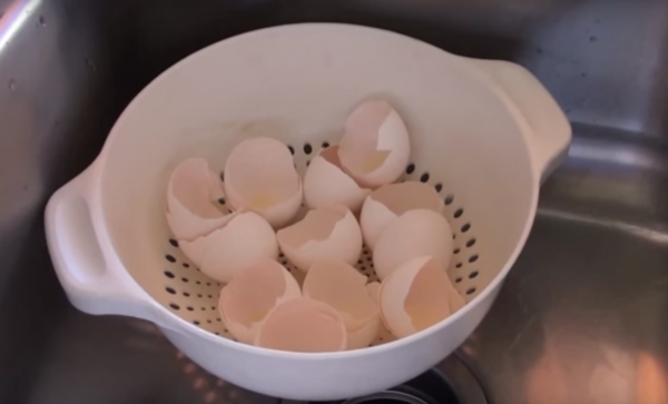 Läs det här så kommer du nog aldrig att kasta äggskal i soporna igen - Steg 1