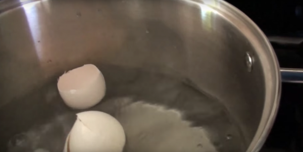 Läs det här så kommer du nog aldrig att kasta äggskal i soporna igen - Steg 2